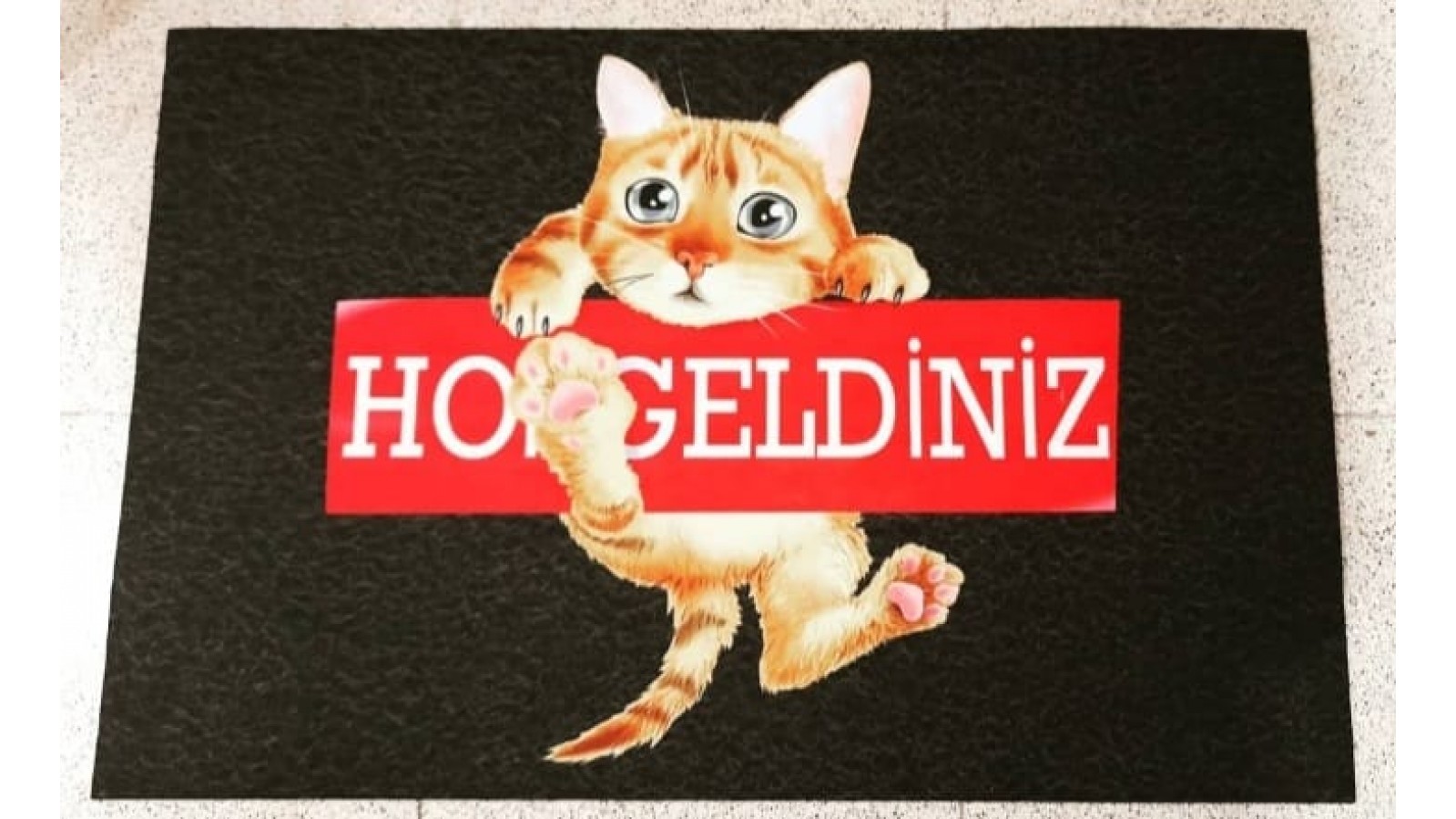 KEDİ KAPI ÖNÜ PASPASI